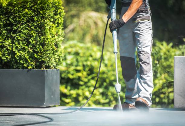 Best Gutter Cleaning  in Palm Valley, TX